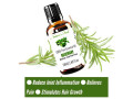 natures-foak-rosemary-essential-oil-small-0